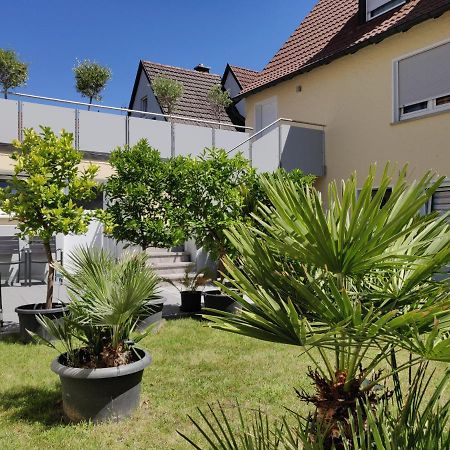 Haus Zum Schlosspark Veitshöchheim Extérieur photo